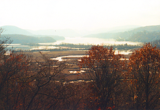 Photo of the View of Constitution Marsh from Boscobel by John Hulsey